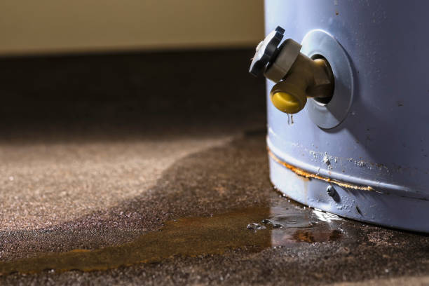 Best Professional water damage repair  in Rochester, NY