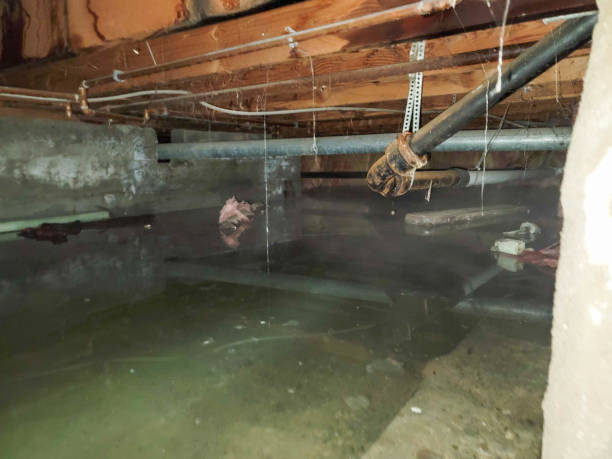 Best Water damage restoration near me  in Rochester, NY