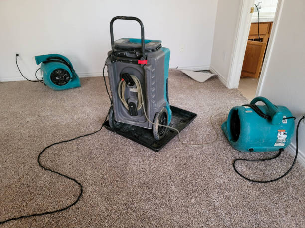 Best Local water damage restoration  in Rochester, NY