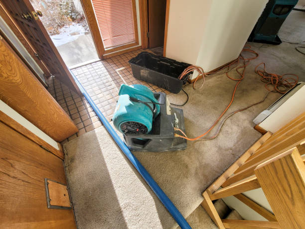  Rochester, NY Water damage restoration Pros