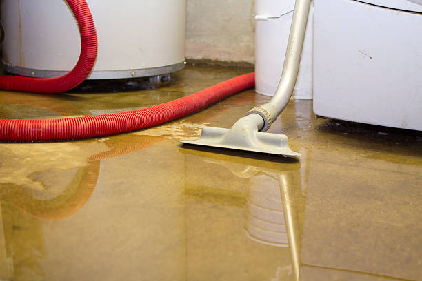 Best 24-hour water damage restoration  in Rochester, NY