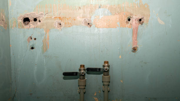 Best Flooded house restoration  in Rochester, NY