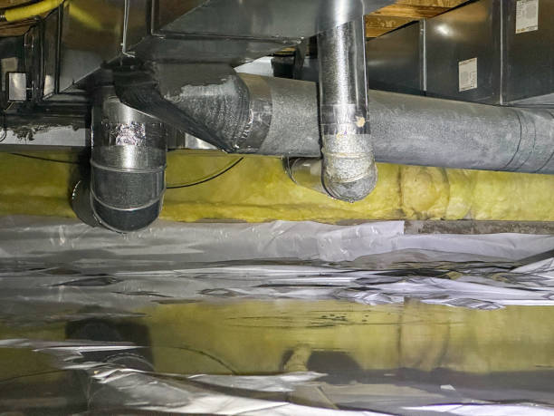 Best Professional water damage repair  in Rochester, NY