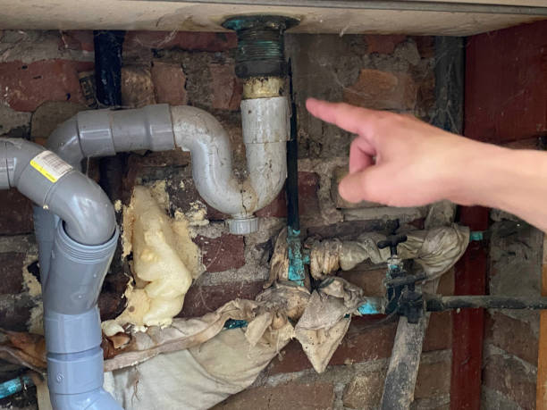 Best Water damage cleanup near me  in Rochester, NY