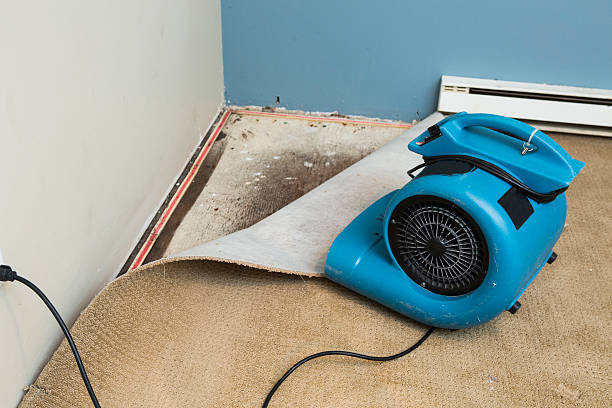 Best Flood restoration services  in Rochester, NY